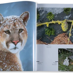 Grivel Prints & Posters Millennium 2000