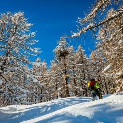 Grivel Monterosa Snowshoes